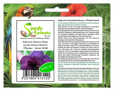 Immagine prodotto di 2x Adenium obesum viola intenso Piante da fiore Doxzon - Semi B548