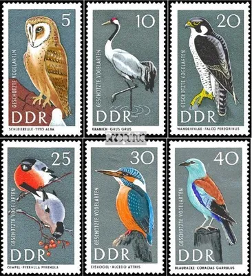 Produktbild von Briefmarken DDR 1967 Mi 1272-1277 (kompl.Ausg.) postfrisch Geschützte Vögel