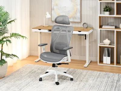 Immagine prodotto di Sedia da ufficio DELMY - grigio / bianco