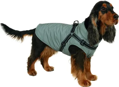 Image de Hundemantel Nobby "FULL REFLECT 2 in 1" argent 44 cm