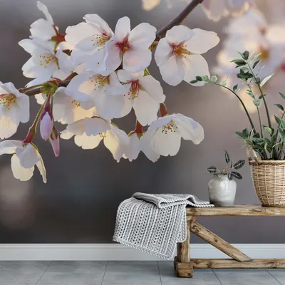 Produktbild von A.S. Création Vlies Fototapete Kirschblüte Blossoms DD119047 Baum Designwall