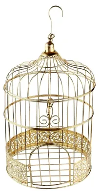Produktbild von Geldgeschenkbehälter in Form eines Vogelkäfigs, gold