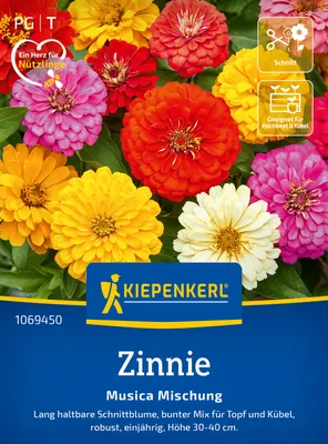 Produktbild von Kiepenkerl Zinniensamen Musica 15 Pflanzen