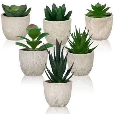 Immagine prodotto di Set di 6 piante succulente artificiali per ambienti interni