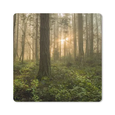 Produktbild von MuchoWow® Mauspad Mousepad Wald - Sonne - Licht 20x20 cm - Mousepads - Maus Mat - Pad - Mausunterlage - Desk Mat - Bureauartikeln
