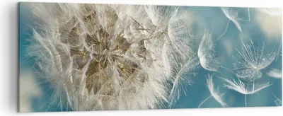 Produktbild von Bild auf Leinwand - Leinwandbild - Baby Sommer Pflanze - 140x50cm - Wand Bild - Wanddeko - Leinwanddruck - Bilder - Kunstdruck - Wanddekoration - Leinwand bilder - Wandkunst - AB140x50-3567