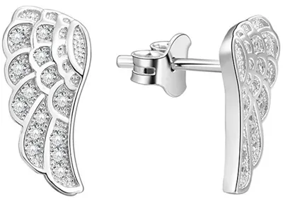 Immagine prodotto di Orecchini in argento Ali d'angelo AGUP1182