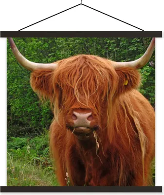 Produktbild von MuchoWow® Textilposter Schottisches Hochlandrind - Kuh - Gras 120x120 cm mit schwarzem Rahmen - Aufhängungsset