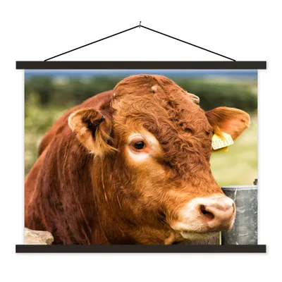 Produktbild von MuchoWow® Textilposter Schottischer Highlander - Berg - Zaun 150x113 cm mit holzfarbenen Rahmen - Poster