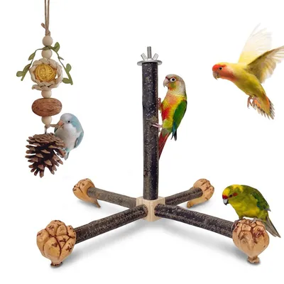 Productafbeelding van 2 stuks vogel speelgoed: zitstok met kauwspeelgoed, gemaakt van natuurlijk hout, geschikt voor parkieten
