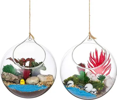 Zdjęcie produktu dla Wisząca szklana kula wazon sukulent terrarium DIY 2 szt. 12 cm przezroczysty