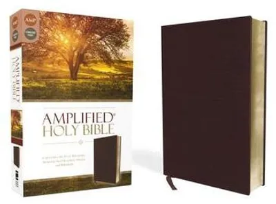 Image de Amplified Holy Bible, Tissu en fibres de cuir, Burgundy