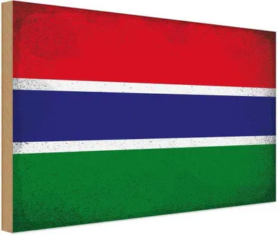 Produktbild von vianmo Holzschild 20x30 cm Gambia Vintage Flagge Fahne Wappen