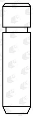 Immagine prodotto di Guida valvola AE VAG96429 per HYUNDAI H-1 Travel (TQ) 43,3 mm, ghisa grigia 7 mm, 12,06 mm