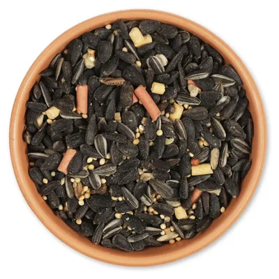 Produktbild von CJ Wildlife Vogelfutter Wildvögel ganzjährig 10kg - mit Sonnenblumenkernen & Erdnussstücken - für Futtersäulen & Futtersilos - hoher Fettgehalt