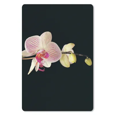 Produktbild von MuchoWow® Mauspad Mousepad Orchidee - Blumen - Schwarz - Rosa - Knöpfe 40x60 cm - Mousepads - Maus Mat - Pad - Mausunterlage - Schreibtisch Accesoire