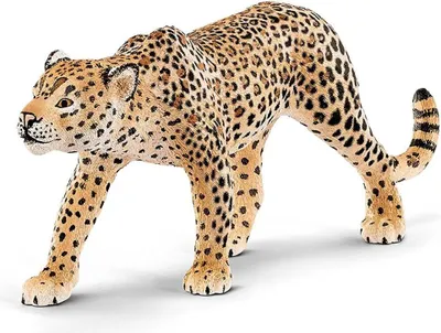 Immagine prodotto di Schleich 17023 - Vita selvaggia - Leopardo (14748)