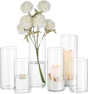 Produktbild von Glasseam Zylinder Vase Glas Klar, Blumenvase Modern 6 Stück 15/20/25cm