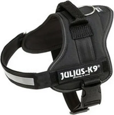 Image de Julius-K9® Powergeschirr®, taille 0-3 58-76 cm/40 mm noir