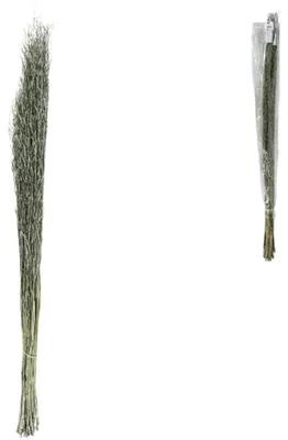 Produktbild von Bündel getrocknetes grünes Sarasgras 110 cm