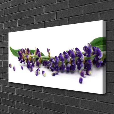 Produktbild von Tulup Leinwand-Bilder 100x50 Wandbild Canvas Kunstdruck Blumen Blätter Pflanzen