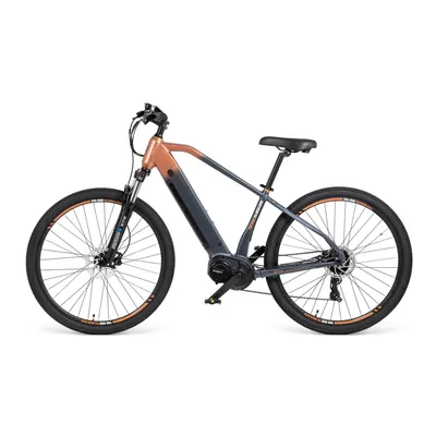 Produktbild von E-bike Elektrofahrrad Mountainbike Touren Elektrofahrrad 29Zoll Pedelec mit 36V 15Ah Akku, SHIMANO 8 Gang, Mittelmotor 250W,80Nm, Unisex,für 170-200cm
