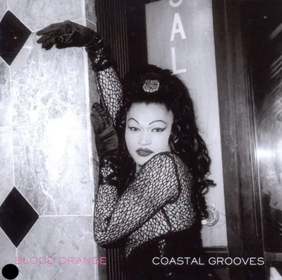 Obrázok produktu pre Blood Orange: Coastal Grooves