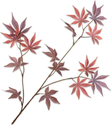 Produktbild von Silk-ka Kunstblume - Seidenblume Blätterzweig Rot-Braun 96cm