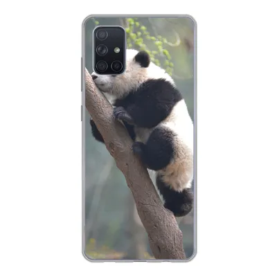 Produktbild von MuchoWow® Handyhülle Schutzhülle Hülle für Samsung Galaxy A71 Panda - Tier - Baum Silikon Softcase Handy Hülle - Kartenbesitzer