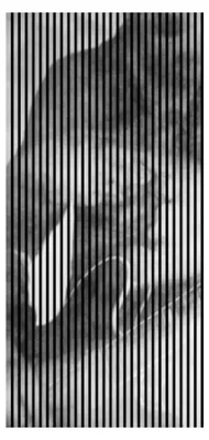 Produktbild von Akustikpaneele mit Digitaldruck Riff02 19 x 1133 x 2400 mm Gitarre Musik MDF PET-Fasern Wandpaneele Schwarz Weiß 2 Einzelplatten
