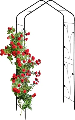 Produktbild von Relaxdays Rosenbogen Metall, Torbogen Garten, HxBxT: 213 x 106 x 41 cm, stabiler Rankbogen für Kletterpflanzen, schwarz