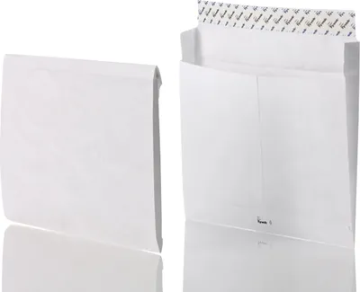 Immagine prodotto di BONG 67158 Tyvek-Ordnerversandt Of Hv