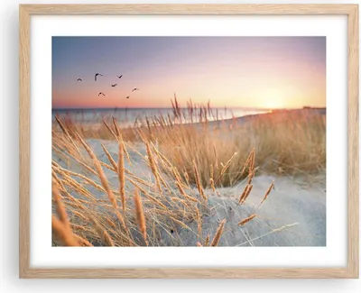 Produktbild von Gerahmtes Poster - Rahmen in heller Eiche - Sonne Vögel Sand - 50x40 cm - Wand Bild - Wanddeko - Wandbilder - Kunstposter - Wandposter - Bilderrahmen - Bilder - Kunstdruck - P2NAA50x40-4810