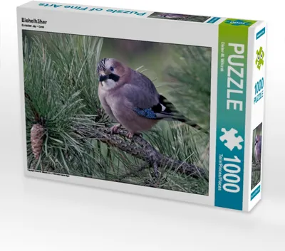Produktbild von Calvendo Eichelhäher 1000 Teile Puzzle quer 640x480mm, Wilczek Dieter-M.; 7318862