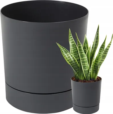 Image de Pot de fleurs avec soucoupe AURA anthracite Ø 22,5 cm 23,5 cm