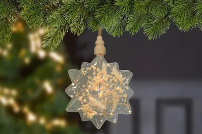 Produktbild von Gilde Hänger (LED), Stern, "Nature", Trockenblumenmotiv, Glas, klar, naturfarben, VE 6, D. 20 cm Durchmesser: 20.00 cm 99309