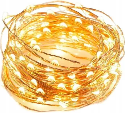 Produktbild von Warmweiße LED-Innenleuchten auf Draht 100 LEDs LAMP24CB
