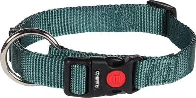 Immagine prodotto di Collare Flamingo Ziggi verde scuro, taglia: M