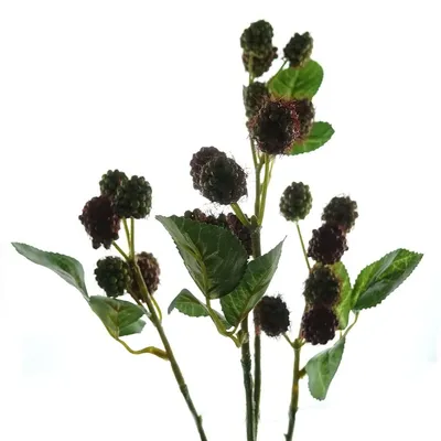 Produktbild von Kunstblume Himbeerzweig grün-rot 68 cm