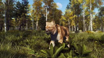 Obrázok produktu pre Way of the Hunter Wild Expeditions