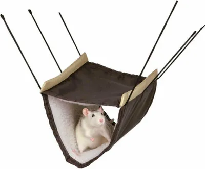 Zdjęcie produktu dla Hängematte mit 2 Etagen 22 × 15 × 30 cm diverse