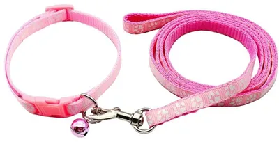 Produktbild von Hundehalsband und Leine Set für Welpen – Verstellbar und bequem, aus Nylon
