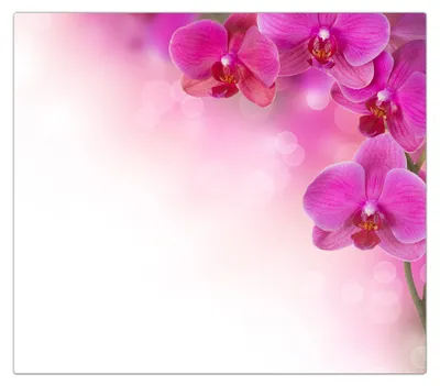 Produktbild von Spritzschutz Herdabdeckplatte Schneidebrett aus Glas Orchideen Design 1-Teilig (60x52cm)