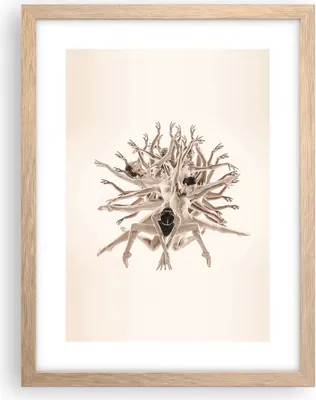 Produktbild von Gerahmtes Poster - Rahmen in heller Eiche - Modern Stück Ballett - 30x40 cm - Wand Bild - Wanddeko - Wandbilder - Kunstposter - Wandposter - Bilderrahmen - Bilder - Kunstdruck - P2NPA30x40-4636