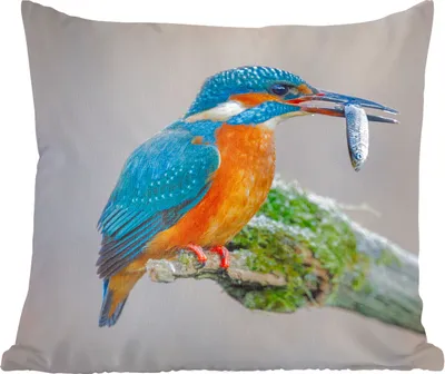 Produktbild von MuchoWow® Zierkissen Sofakissen Wohnzimmer Dekokissen 45x45 cm Eisvogel - Fisch - Tier - Schlafpolster - Polster für das Sofa