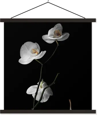 Produktbild von MuchoWow® Textilposter Orchidee - Blumen - Schwarz - Weiß - Stilleben 60x60 cm mit schwarzem Rahmen - Posteraufhänger