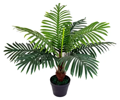 Produktbild von Künstliche Palme mit Topf, Höhe ca. 60 cm