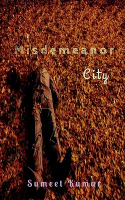 Produktbild von Misdemeanor City