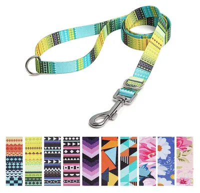 Image de Laisse pour chien, réglable, en nylon, jaune, 120 cm x 2 cm