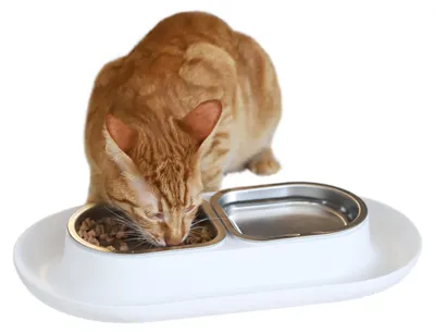 Productafbeelding van Hepper NomNom - Morsbestendige, verhoogde voer- en waterbakken voor katten - Schnu